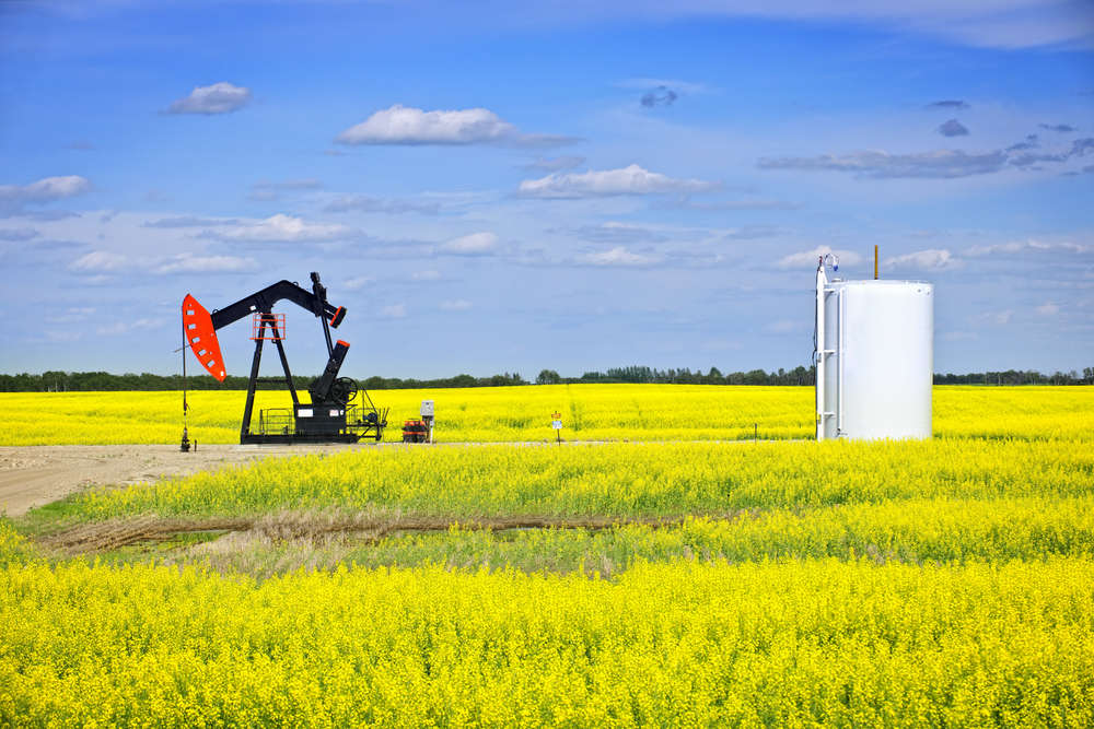 Conventional Oil